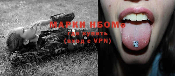 прущий лед Абаза