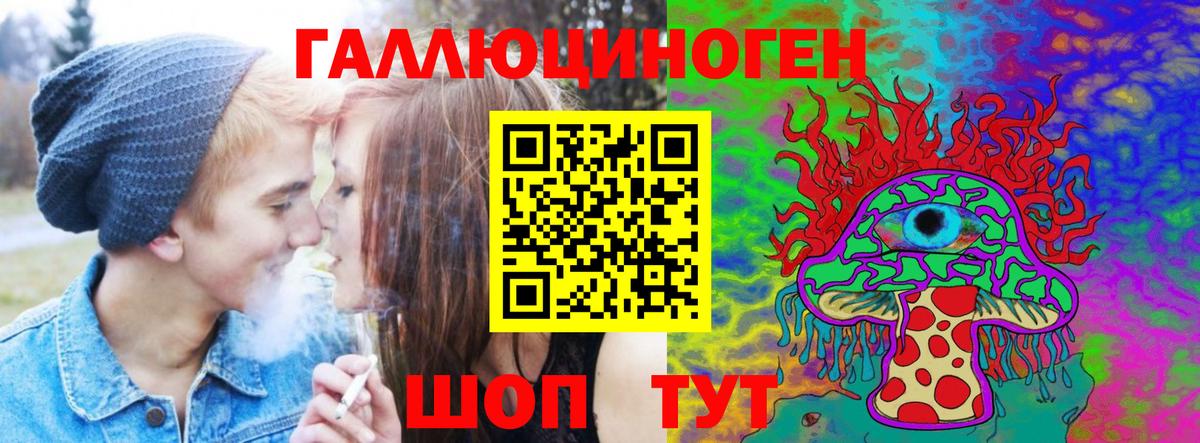 Галлюциногенные грибы Psilocybe Энгельс