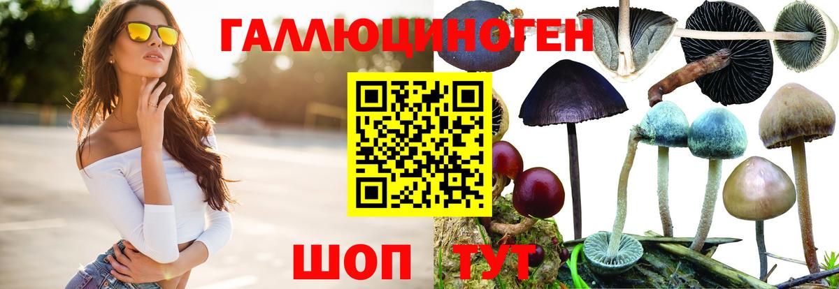 Энгельс  Псилоцибиновые грибы Magic Shrooms  Вход с VPN 